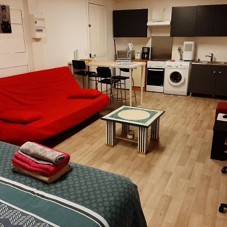 Studio 35M2 Terrasse Et Jardin Quartier Calme Au Centre Ville De Lourdes Zewnętrze zdjęcie